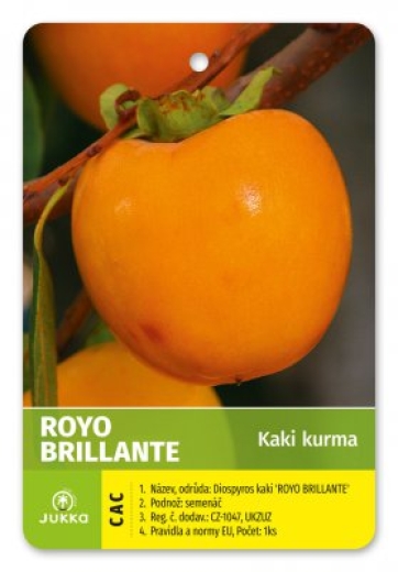 Hurmikaki (Ebenovník rajčiakový) ROYO BRILLANTE - kontajner