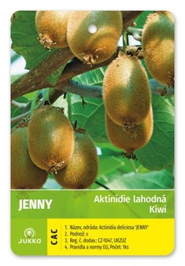 Kiwi JENNY (A. deliciosa) samoopelivé- kontener